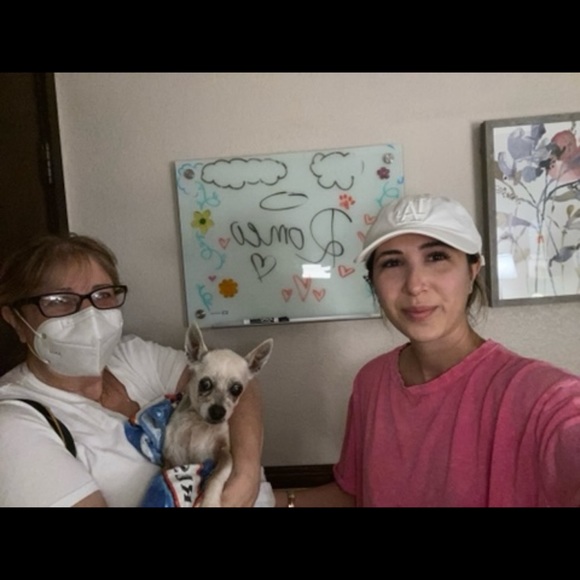 RIP MY ROMEO, you were a beautiful dog & my companion for 16 years🙏🏻 - Picture 4 of 16